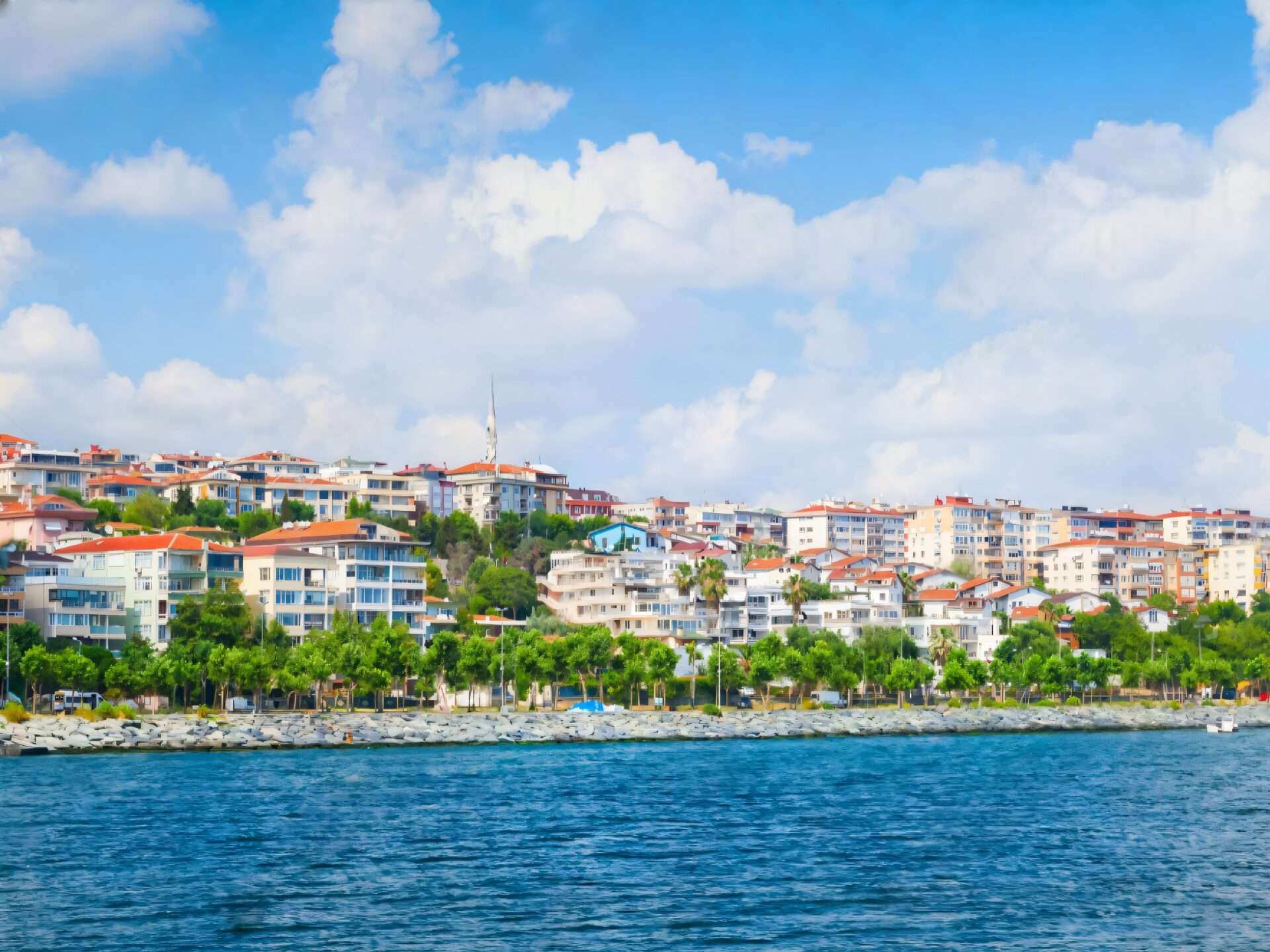 Avcılar Temizlik